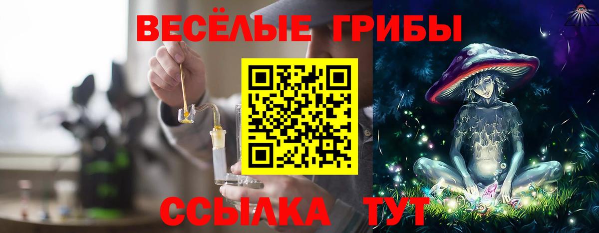 Каменск-Уральский  Псилоцибиновые грибы Psilocybe  Вход с VPN 